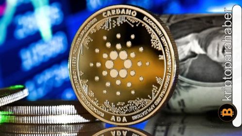ADA, 1 dolar hedefiyle yeniden yola çıktı! Başarılı olabilecek mi?