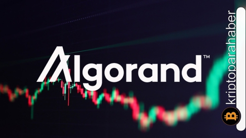 Yatırımcılar dikkat! Boğalar güçlü, bu altcoin ralliye devam edebilir!