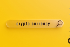 Ayı piyasasına rağmen Bitcoin Google aramaları şaşırtıcı şekilde artıyor!