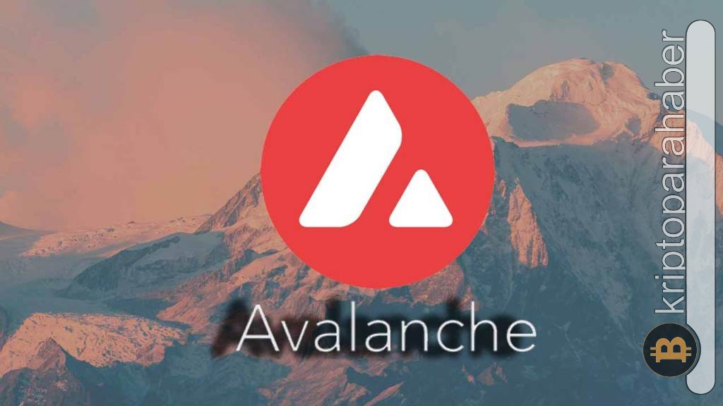 Avalanche güçlü hamleler devam ediyor! Kurucusu büyümeye hazır olduklarını açıkladı