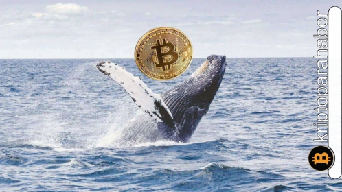 Bitcoin balinasından büyük hamle! Düşük fiyattan 28 milyon dolar değerinde BTC satın alındı!