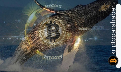 Balinalar bu altcoin’lere akın etti! Piyasada iyileşme hareketleri yakın mı?