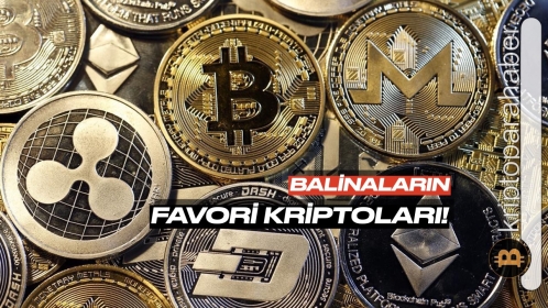 Balinaların Shiba Inu yerine tercih ettiği 10 altcoin: Çok büyük alımlar yapıyorlar! Aralarında Metaverse coinler de var