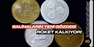 Balinaların yeni gözde altcoin'i GALA oldu