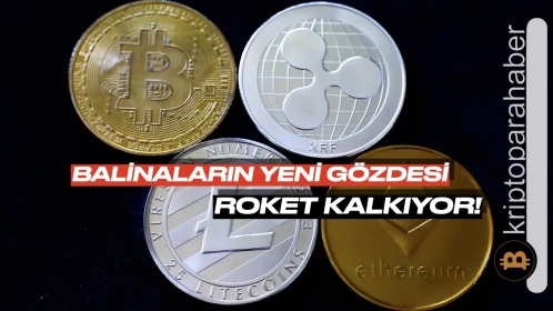 Balinalar, ceplerini bu altcoin’le dolduruyor: Fiyat uçuşa başladı!