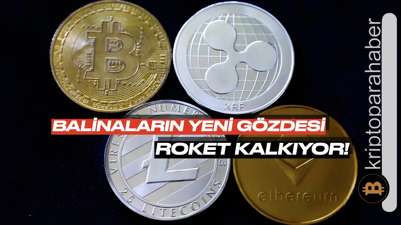 Balinaların yeni gözde altcoin'i GALA oldu