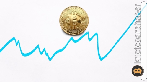 Bitbull CEO’su, Bitcoin’in dokuz ay sonra nereye gideceğini tahmin etti