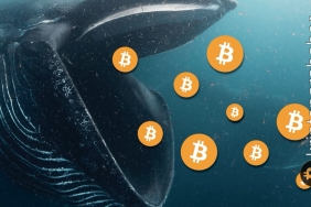 Önemli gelişme: Balinalar birikim moduna geçti! Bitcoin fiyatı ne zaman artmaya başlayacak?