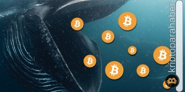 Önemli gelişme: Balinalar birikim moduna geçti! Bitcoin fiyatı ne zaman artmaya başlayacak?