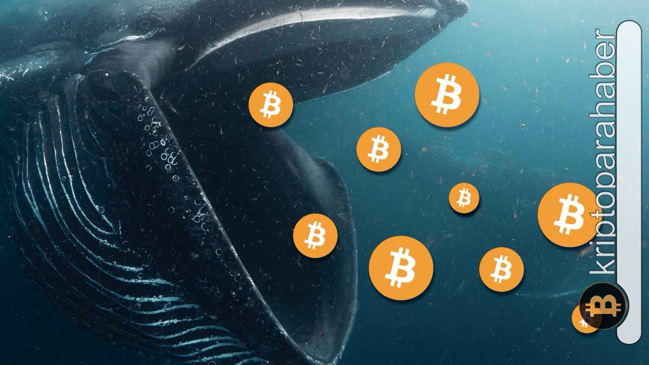 Önemli gelişme: Balinalar birikim moduna geçti! Bitcoin fiyatı ne zaman artmaya başlayacak?