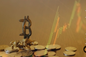 Bitcoin analistinden tarihi yorum: Mevcut fiyat hareketi zirveye mi işaret ediyor?