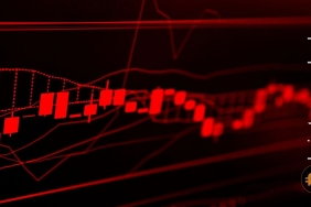 AXS CHZ APE, ayı döneminde yıpranmaya devam ediyor