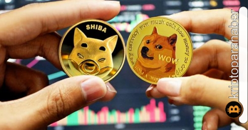 Gözde meme coin’ler düşmeye devam ediyor! Dogecoin ve Shiba Inu toparlanabilecek mi?