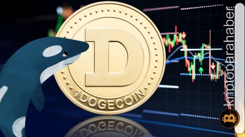 Dogecoin balina işlemleri arttı: Fiyat tersine dönecek mi?