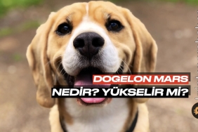 Dogelon Mars (ELON) nedir? Yükselir mi?