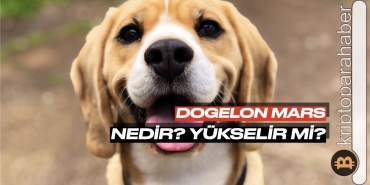 Dogelon Mars (ELON) nedir? Yükselir mi?