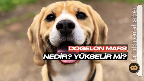 Adını Elon Musk ve Dogecoin’den alan meme coin dikkat çekiyor! Herkes onun peşinde