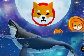 Balinaların Shiba Inu'ya ilgisi azalmıyor! Balinalar tarafından satın alınan ilk 10 token arasında yer alıyor