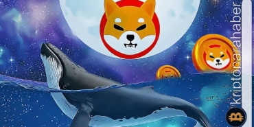 Balinaların Shiba Inu'ya ilgisi azalmıyor! Balinalar tarafından satın alınan ilk 10 token arasında yer alıyor