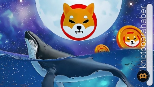 Balinaların Shiba Inu’ya ilgisi azalmıyor! Balinalar tarafından satın alınan ilk 10 token arasında yer alıyor