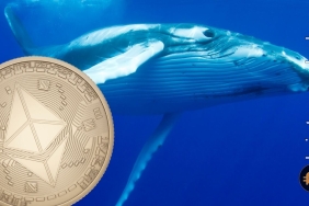 Ethereum balinaları, bakın elinde en çok hangi tokeni tutuyor?