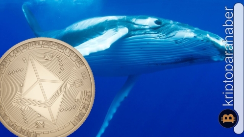 Ethereum balinaları bu altcoini zirveye taşıdı!