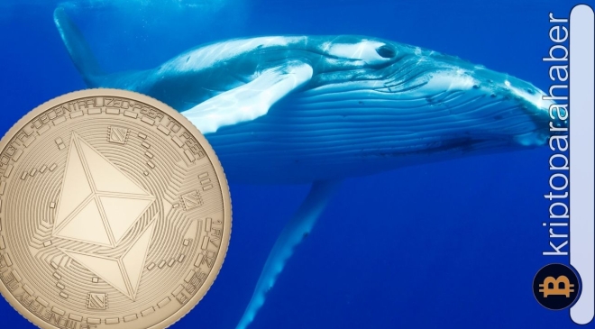 Ethereum balinaları, bakın elinde en çok hangi tokeni tutuyor?