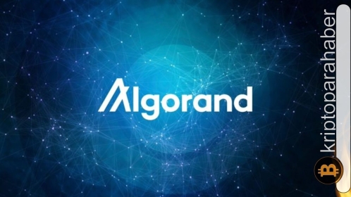 Kurucu açıkladı: Algorand yükseltmeyle daha iyi olacak