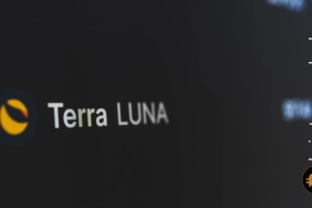 Yatırımcının kafası karışık: Terra kurucusu Do Kwon çözüm ararken, Binance CEO’su çatallamanın işe yaramayacağını söylüyor!