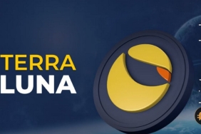 Do Kwon’un yakalanma kararı kırmızı bültene eklenecek mi?