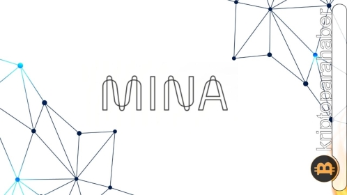 Mina ekosistemi, Web3 için önemli bir fonu artırdı!