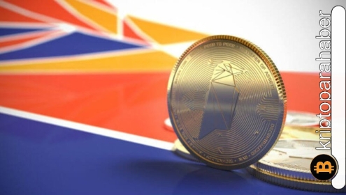 Ravencoin nedir? Kripto para piyasasında şubat ayında yaşanan satışlardan RVN nasıl etkilendi?