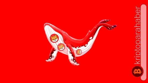 Ethereum balinaları Shiba Inu’dan vazgeçmiyor! İşte detaylar