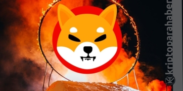 Shiba çılgınlığı devam ediyor! Yakımlar arka arkaya geldi