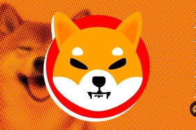 Güne yükselişle başlayan Shiba Inu fırtınaya hazırlanıyor!