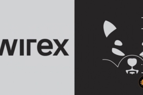 Shiba Inu, yeni bir ödeme sistemiyle 4,5 milyon kullanıcıya erişebilir