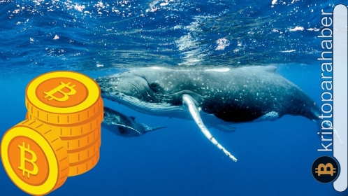 Yüklü miktarda BTC’ler soğuk cüzdanlara taşındı: Sahte hareket mi?