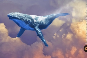 Flaş: Dünyanın en zengin Bitcoin balinası hareketlendi! Piyasa geri çekilince bakın ne yaptı