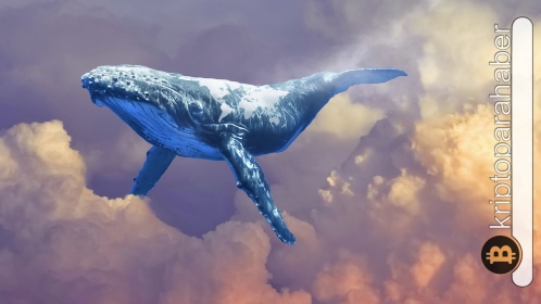 Flaş: Dünyanın en zengin Bitcoin balinası hareketlendi! Piyasa geri çekilince bakın ne yaptı