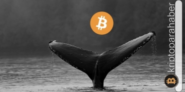 Balinalar hücum etti! OmiseGO, REQ ve LINK’te neler oluyor? İşte nedenleri