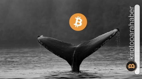 Balinalar, unutulmaya yüz tutmuş 3 eski altcoin’e saldırmaya başladı! Neler oluyor?