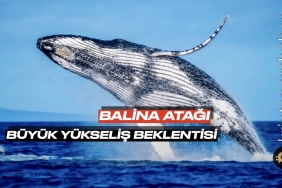 Günün en dikkat çeken balina transferi: Bu token'den milyonlarcası borsadan çekildi, büyük yükseliş bekliyorlar!