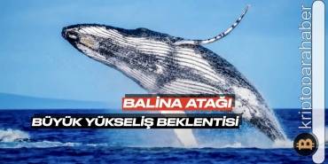 Günün en dikkat çeken balina transferi: Bu token'den milyonlarcası borsadan çekildi, büyük yükseliş bekliyorlar!
