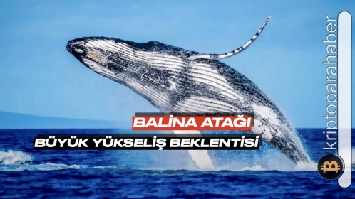 Günün en dikkat çeken balina transferi: Bu token’den milyonlarcası borsadan çekildi, büyük yükseliş bekliyorlar!
