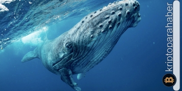 Balina göçü başladı: Milyar dolarlar yer değiştirdi! İşte günün en dikkat çeken 6 transferi