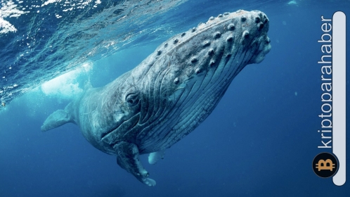 Balina göçü başladı: Milyar dolarlar yer değiştirdi! İşte günün en dikkat çeken 6 transferi