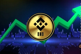 Binance Coin fiyat analizi: BNB kritik seviyeyi aşarsa yükseliş hızlanacak!