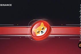 Binance 100.000 dolar değerinde Shiba Inu dağıtıyor!