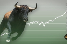 Bu iki kripto piyasadan bağımsız bir boğa koşusu başlatabilir!