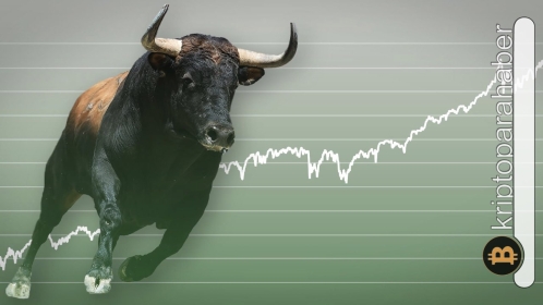 Bu iki kripto para boğa koşusunun eşiğinde olabilir! İşte detaylar